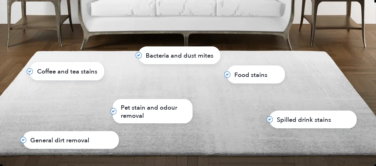 Carpet dry cleaning - which stains we remove