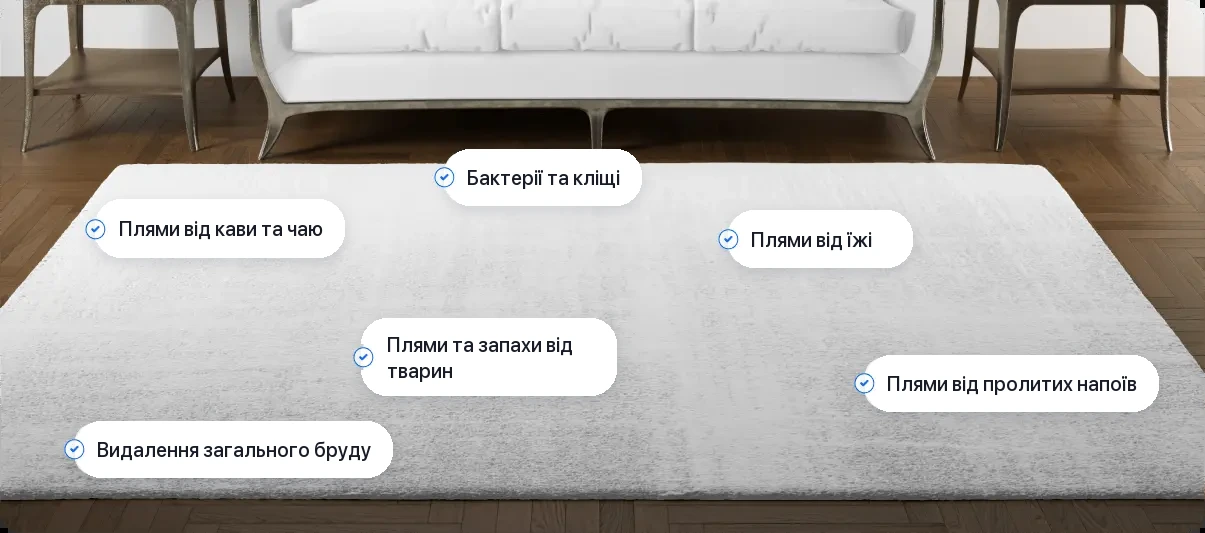 Хімчистка килима - які плями видаляємо
