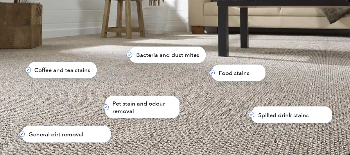 Office carpet cleaning - which stains we remove