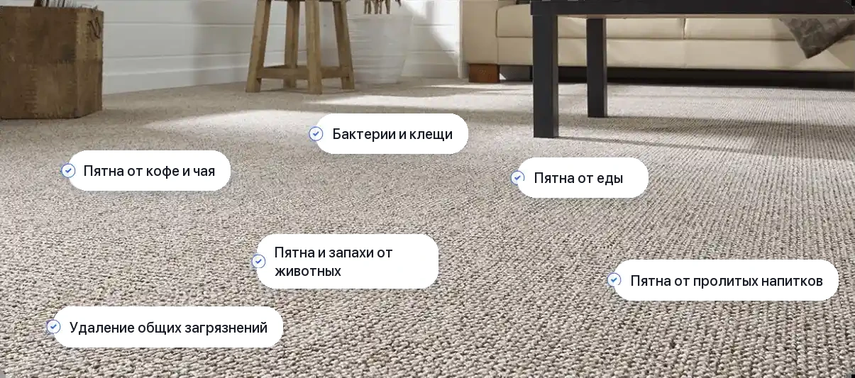 Химчистка офисных покрытий - какие пятна удаляем