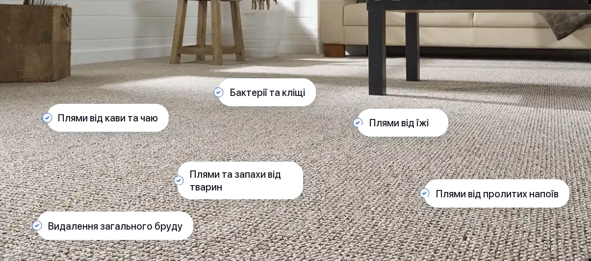 Прання офісних покриттів - які плями видаляємо